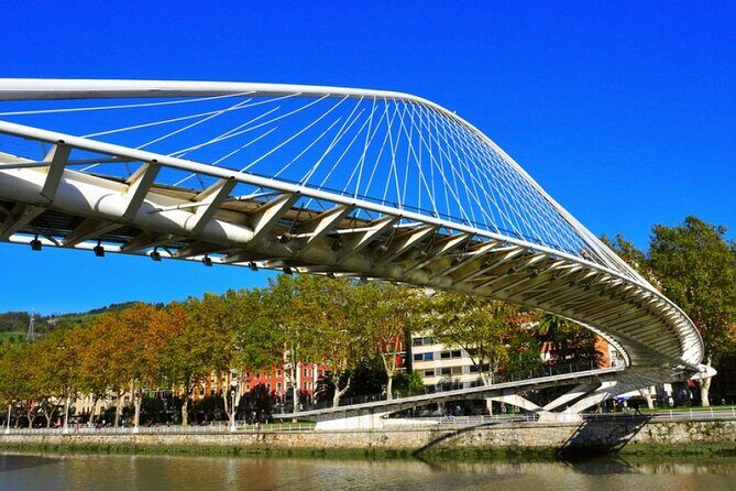 Full-day private Bilbao tour (Guggenheim museum & full pintxo lunch included) - Crossing Zubizuri and Discovering El Ensanche