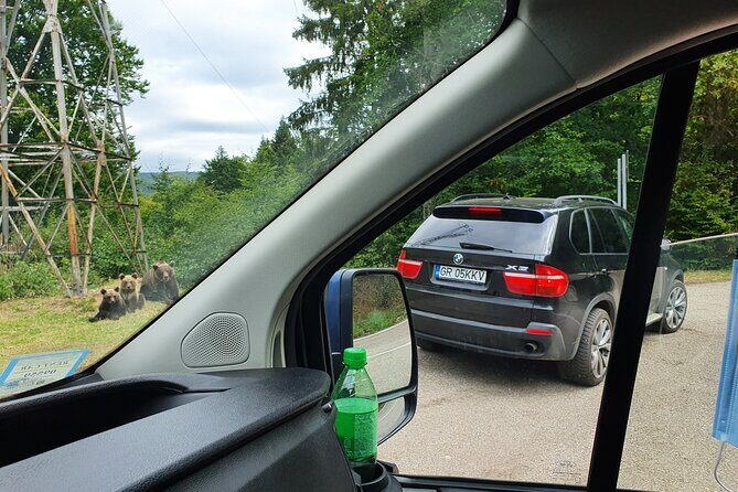 Full-Day Private Carpatian Garden with Dracula's Fortress - Wild Brown Bears - Practical Considerations