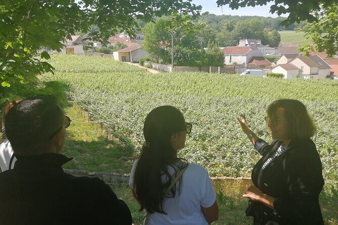 Full-Day Private Champagne Tasting in Reims and its Vineyards - An In-Depth Look at the Experience