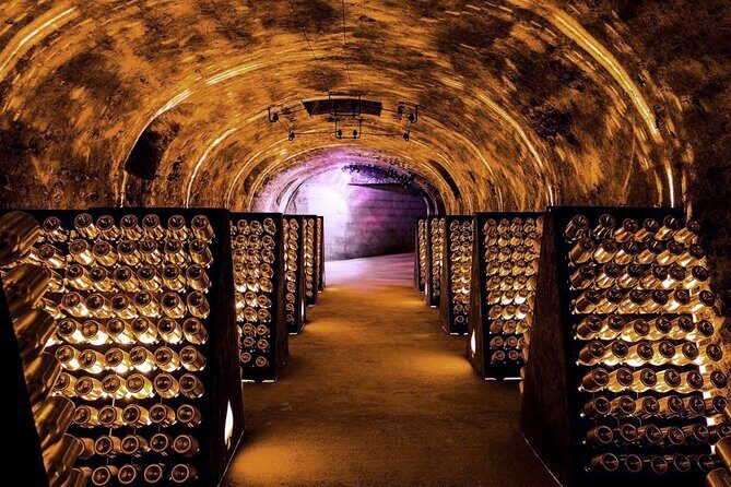 Full-Day Private Champagne Tasting in Reims and its Vineyards - Final Thoughts