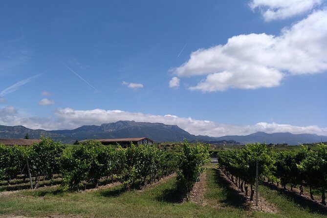 Full-Day Private Cultural and Gastronomic Adventure in Rioja - Frequently Asked Questions