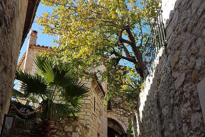 Full Day Private Custom French Riviera Tour from Nice - Who Is This Tour Best For?