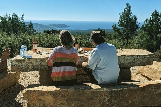 Full-Day Private Custom-Made Cannes Shore Excursion - Final Thoughts: Who Should Consider This Tour?