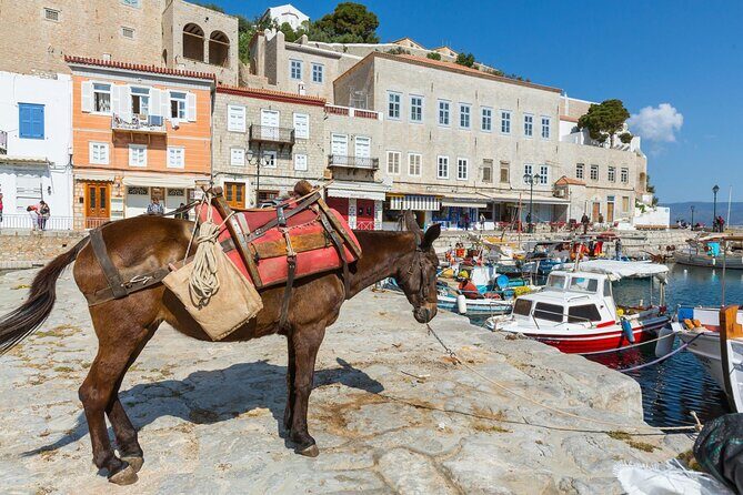 "Full-Day Private Excursion to Hydra Island from Athens" - The Sum Up
