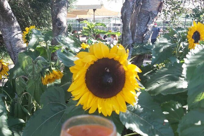 Full Day Private Golden Circle and Hot Springs Tour in Hvammsvík - FAQs