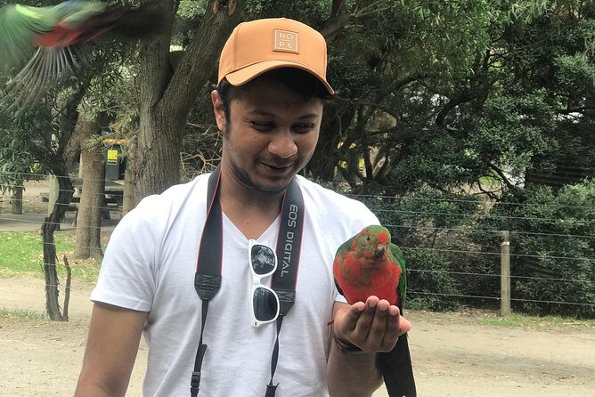 Full-Day Private Group Great Ocean Road Tour from Melbourne - Pricing and Value