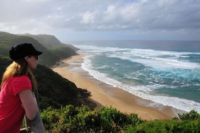 Full-Day Private Group Great Ocean Road Tour from Melbourne - Who Would Love This Tour?