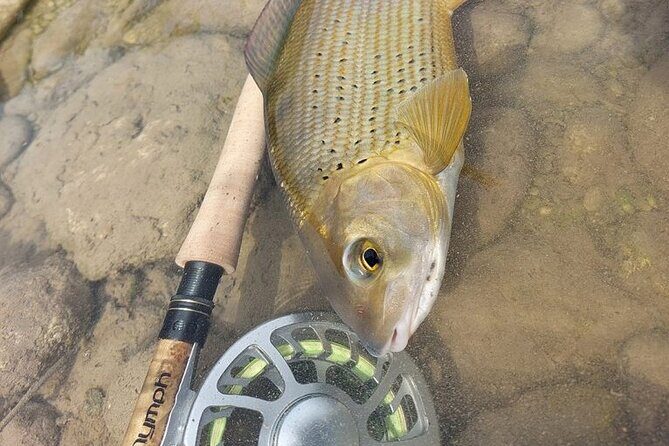 Full Day Private Guided Fishing Charter along the Isonzo Front - Final Thoughts