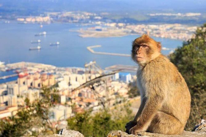 Full-Day Private Guided Historic Tour of Gibraltar from Cadiz - FAQs