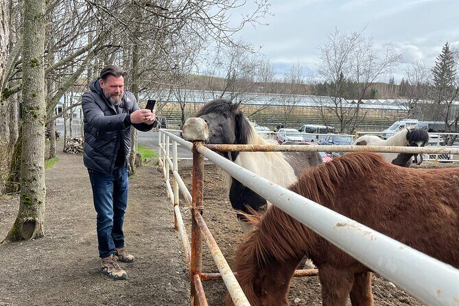 Full Day Private Guided Tour in Golden Circle of Iceland - Friðheimar Greenhouse – A Taste of Iceland’s Innovation