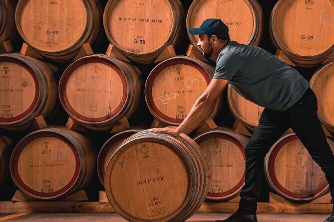 Full Day Private Guided Tour of Arandas Jalisco Distilleries - Key Points