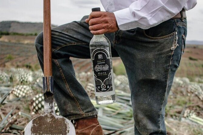 Full Day Private Guided Tour of Arandas Jalisco Distilleries - FAQs