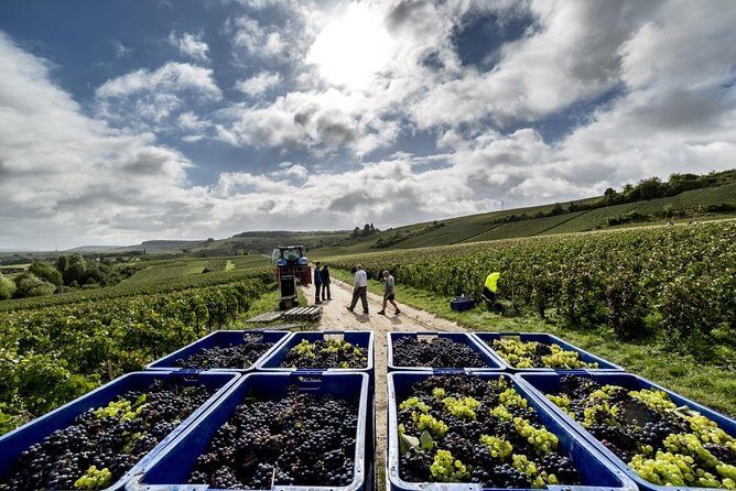 Full-Day Private Guided Tour of Champagne wih Hotel Pickup - Final Thoughts