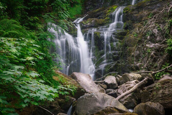 Full-Day Private Historical Tour at Ring of Kerry - What to Expect from the Full-Day Private Tour at Ring of Kerry