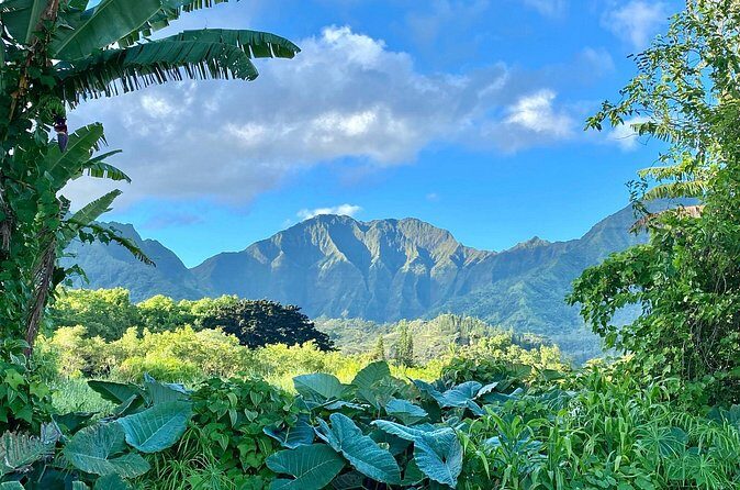 Full-Day Private Kauai's Waimea Canyon and South Side Tour - Final Thoughts