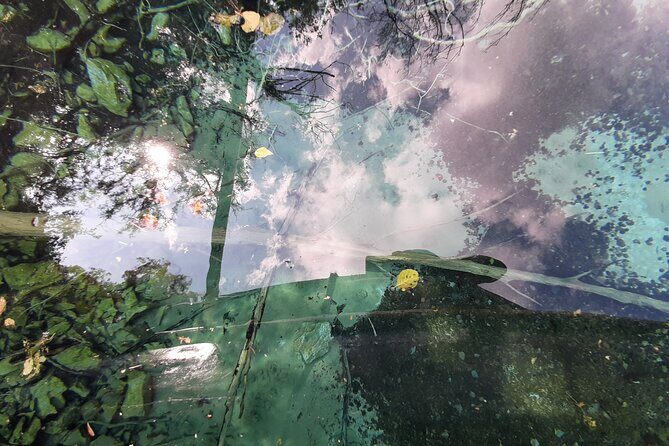 Full-Day Private Lake Ohrid and Albania Tour from Ohrid - Transportation and Duration