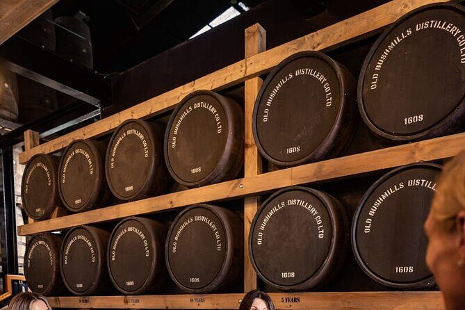 Full Day Private Luxury Tour of Causeway Coast (Giants Causeway) - Who Is This Tour Best For?