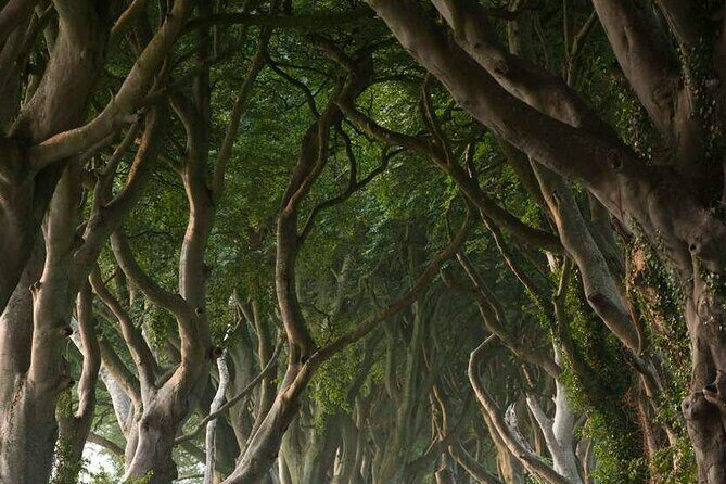 Full Day Private Luxury Tour of Causeway Coast (Giants Causeway) - FAQ