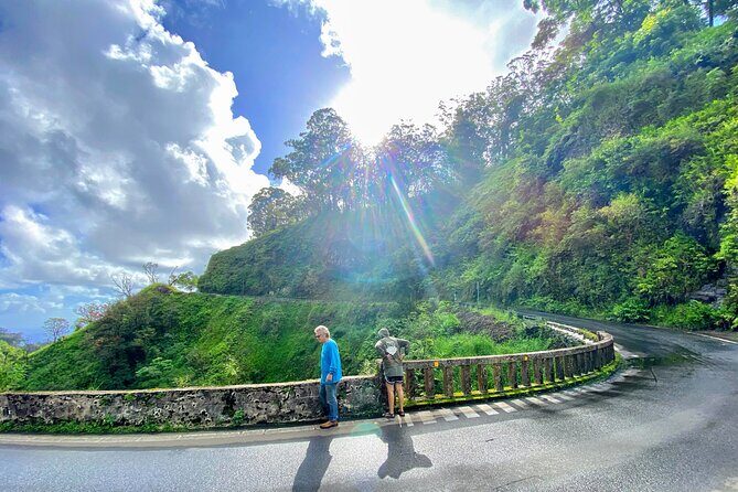 Full Day Private Maui Tour - The Experience: What Travelers Might Expect