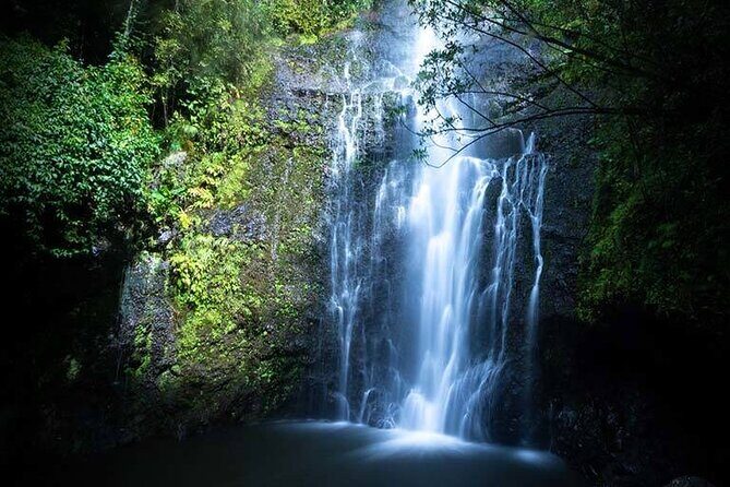 Full Day Private Maui Waterfall, Beach & Hana Tour - What Makes This Tour Special?