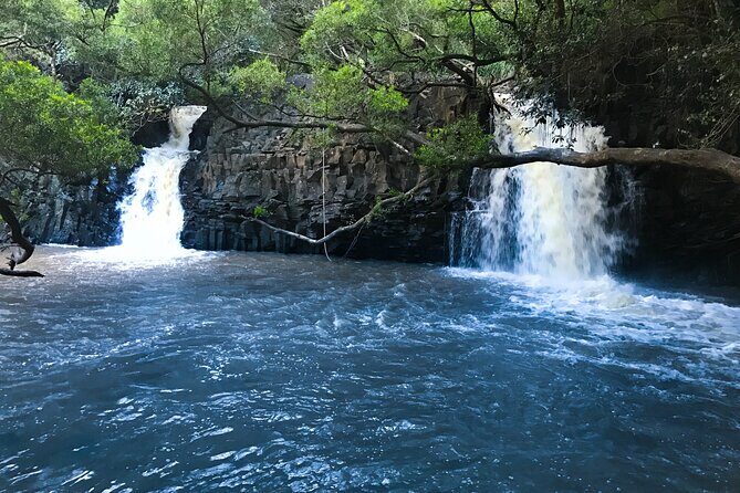 Full Day Private Maui Waterfall, Beach & Hana Tour - Who Would Love This Tour?
