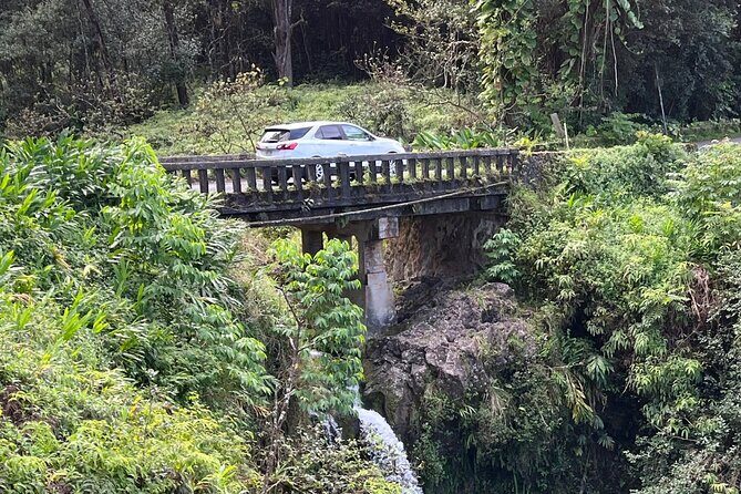 Full Day Private Maui Waterfall, Beach & Hana Tour - The Sum Up