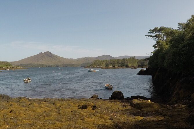 Full-day Private Mizen Head tour from Killarney - Final Thoughts