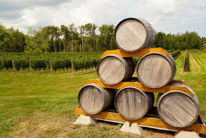 Full-Day Private Nova Scotia Wine Tour from Halifax - What to Expect from This Full-Day Nova Scotia Wine Tour