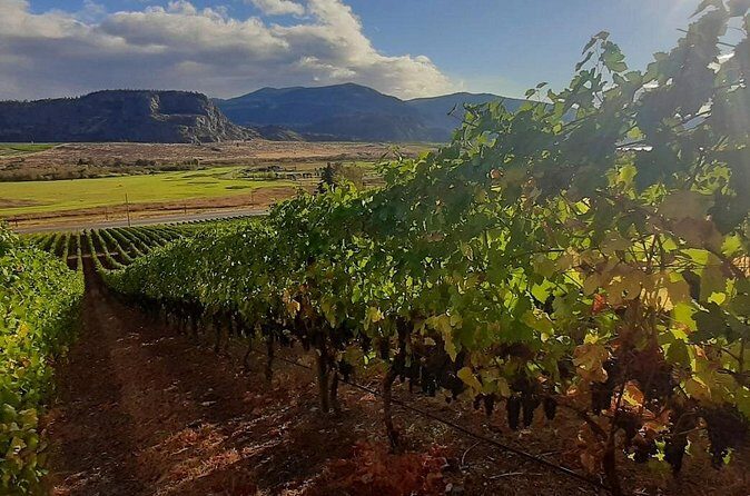Full-Day Private Oliver & Osoyoos Wine Tour from Kelowna - Who Should Consider This Tour?