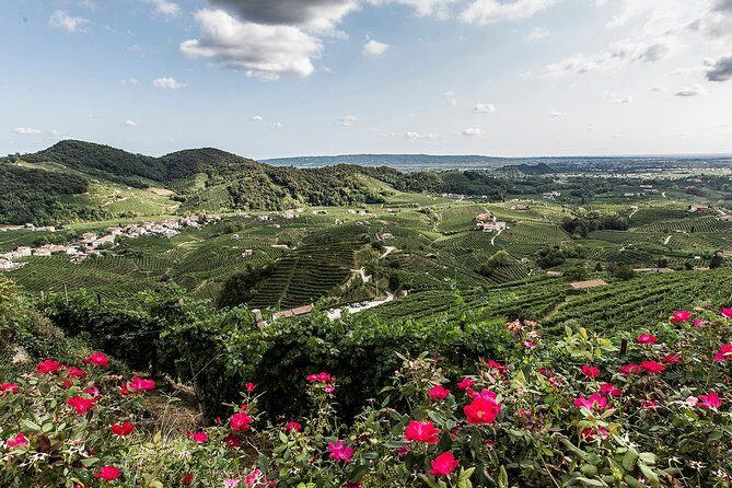 Full day Private Prosecco Tour, with certified Sommelier - Who Will Love This Tour?