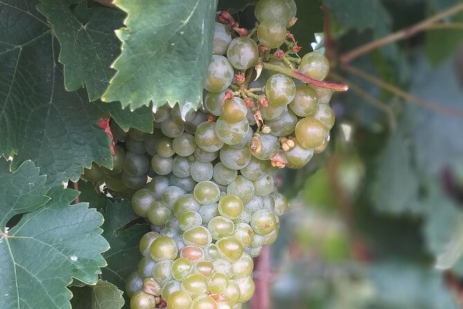 Full day Private Prosecco Tour, with certified Sommelier - Frequently Asked Questions