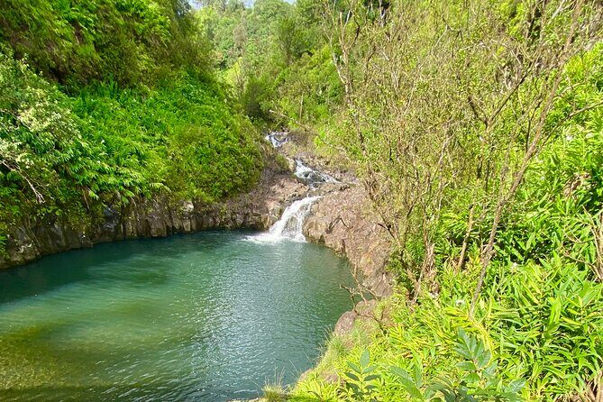Full Day Private Road Tour to Hana - Is It Worth the Price?