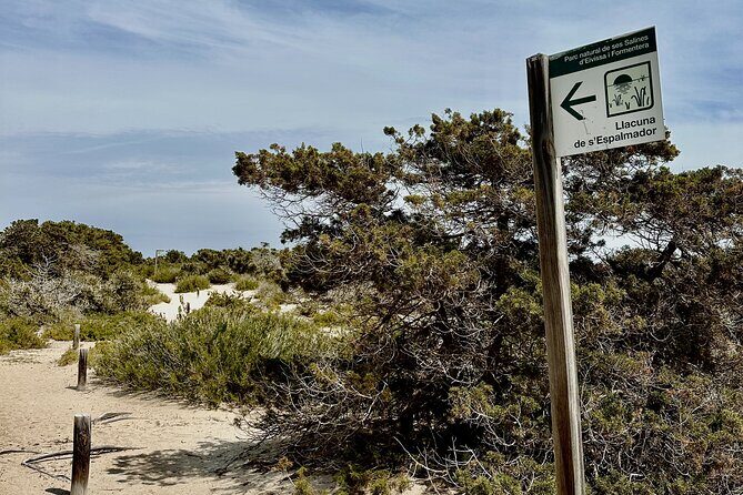 Full-Day Private Sailboat Tour of Ibiza and Formentera - An In-Depth Look at the Experience