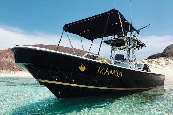 Full Day Private Scuba Diving in Espiritu Santo Island - In-Depth Look at the Experience