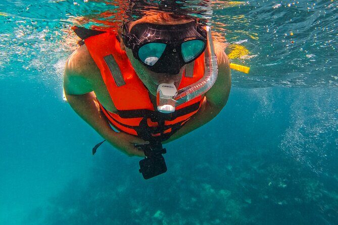 Full-Day Private Snorkel Tour in Tulum and Sian Kaan - What to Expect from the Itinerary