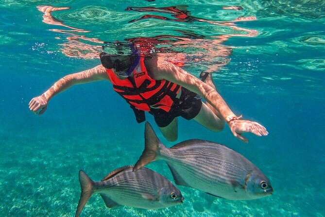 Full-Day Private Snorkel Tour in Tulum and Sian Kaan - Who Should Consider This Tour?