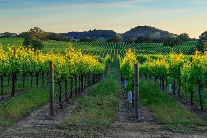Full-Day Private Sonoma Valley Wine Tour from San Francisco - Full-Day Private Sonoma Valley Wine Tour from San Francisco