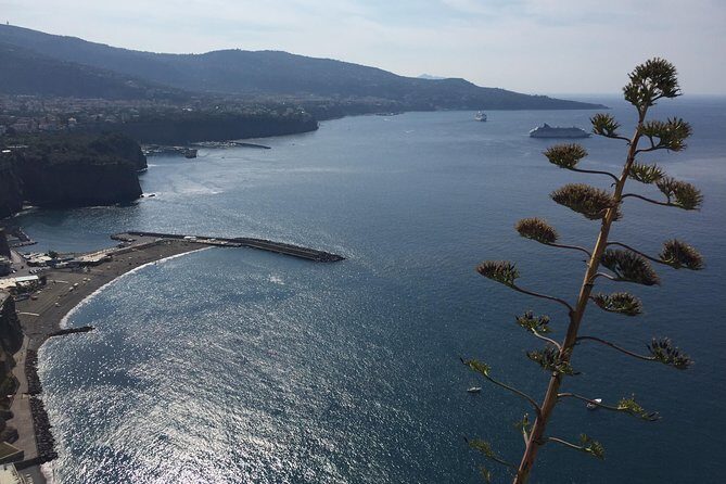 Full Day Private Sorrento & Amalfi Coast Tour from Positano - The Experience: What to Expect