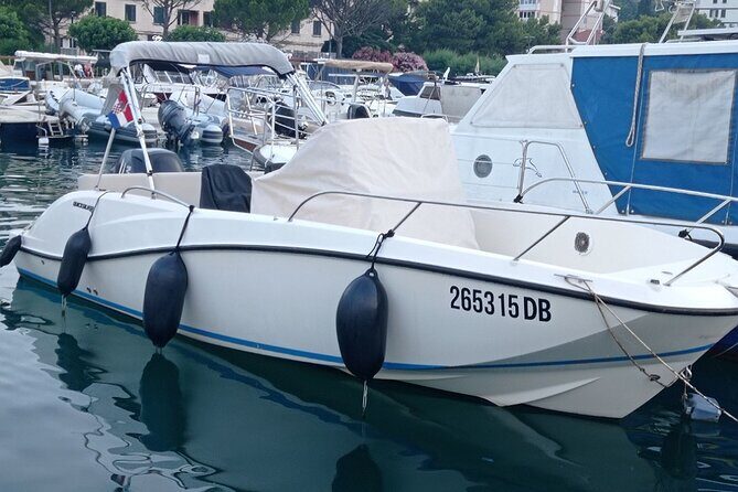Full- Day Private Speedboat Tour in Dubrovnik on Elaphiti Islands - What the Reviews Say