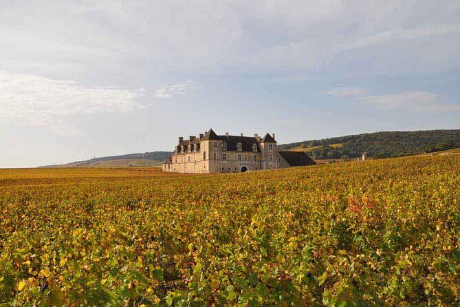 Full Day Private Tour 10 Premiers & Grands Crus, The Best of Burgundy - The Sum Up