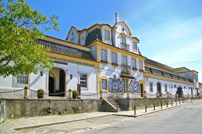 Full Day Private Tour - Arrábida Beaches and Azeitão Wine Region - The Sum Up