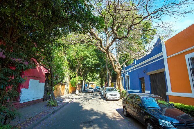 Full-day private tour from Mexico city to Coyoacán - The Booking and Flexibility