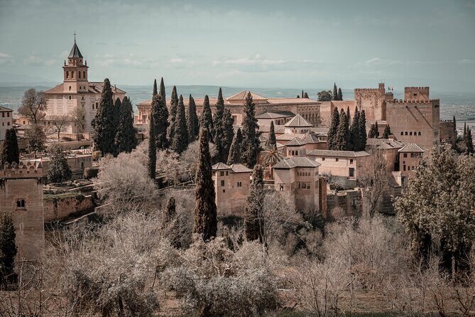 Full Day Private Tour in Alhambra from Malaga - Key Points