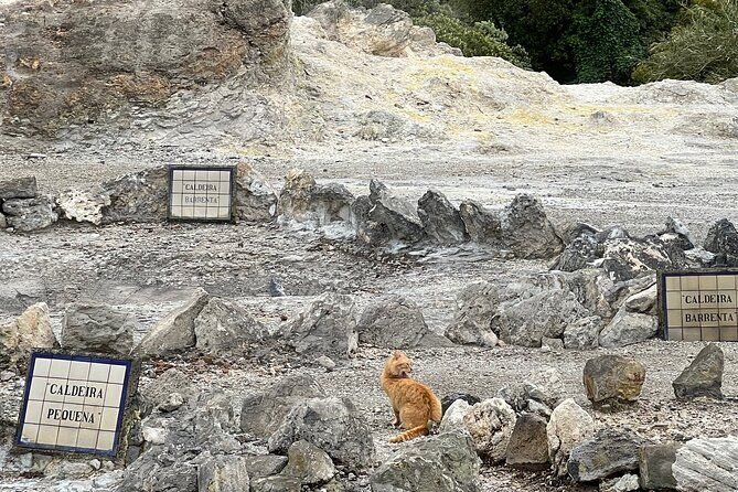 Full Day Private Tour in Furnas Valley Breath of the volcano - Who is This Tour For?