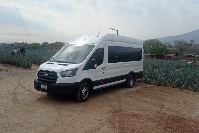 Full-Day Private Tour in Guadalajara - Key Points