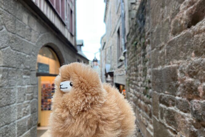 Full-day Private Tour in Mont Saint Michel with Calvados Tasting - Who Would Love This Tour?