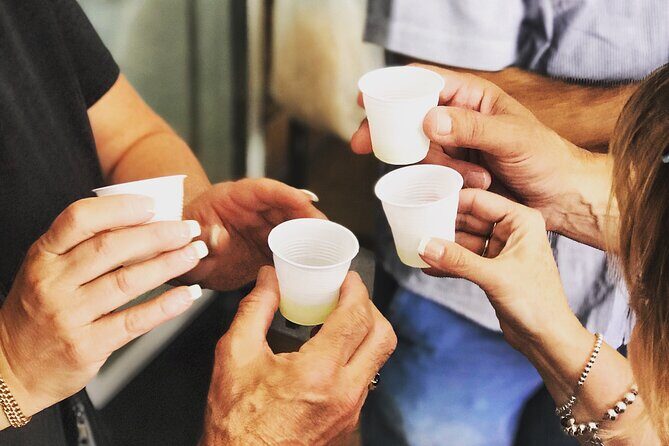 Full Day Private Tour in Pompeii, Vesuvio and Sorrento - An Honest Look at the Full-Day Private Tour in Pompeii, Vesuvius, and Sorrento