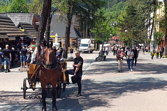 Full-Day Private Tour of Slovakia Treetop Walk and Zakopane - FAQ