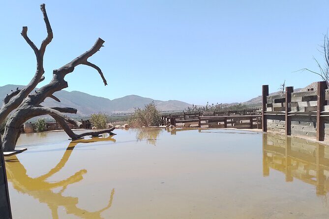 Full Day Private Tour or Guadalupe Valley Weekend - What the Tour Entails