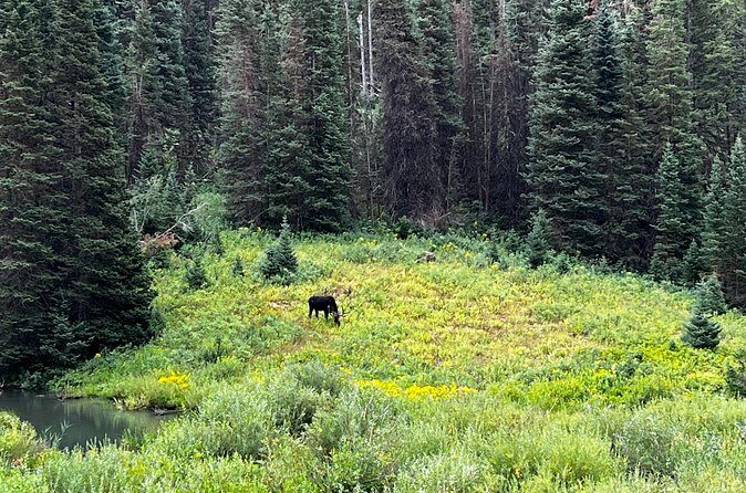 Full-Day Private tour through the Rocky Mountains - FAQ